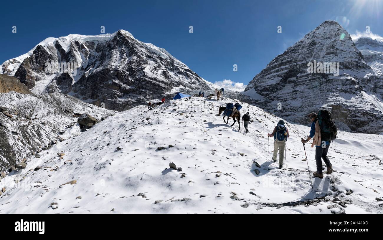 Trekking al Glaciar Chonbarden Tukuche Peak, Dhaulagiri Circuito Trek, Himalaya, Nepal Foto de stock