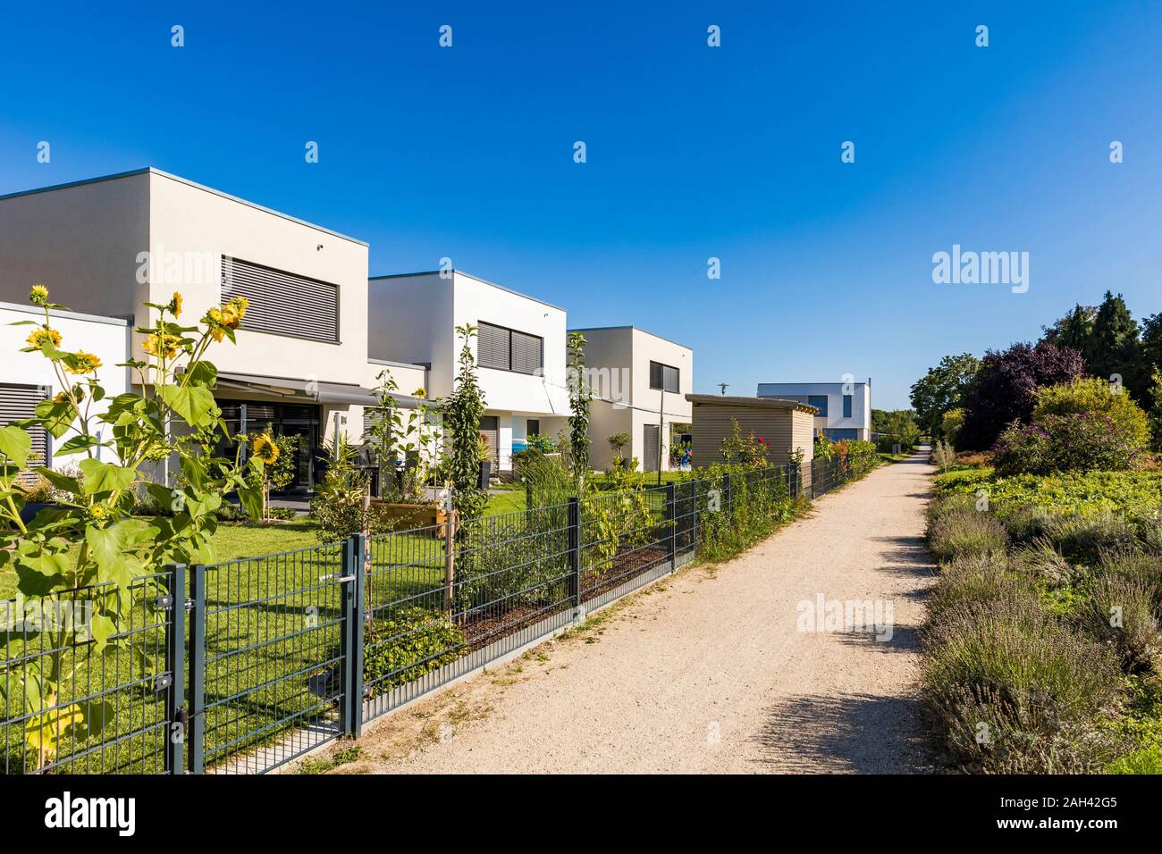 Alemania, Baviera, Neu-Ulm, camino de tierra a lo largo de la fila de suburbio casas Foto de stock