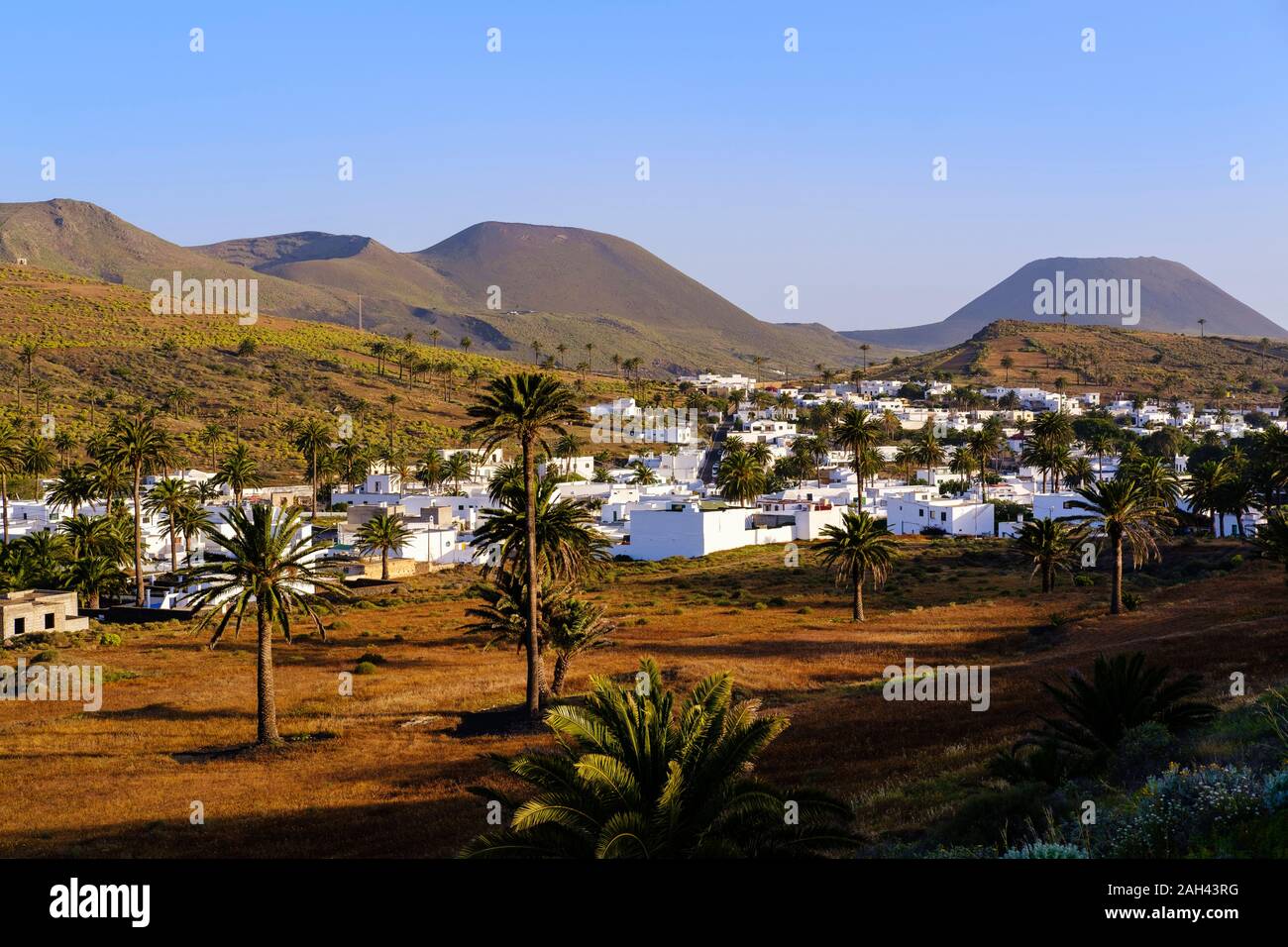 España, Islas Canarias, Haria, aldea en el Valle de las Mil Palmeras Foto de stock