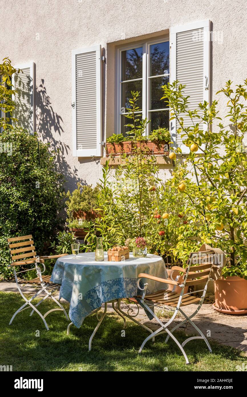 Alemania, Baden-Wurttemberg, Stuttgart, juego de mesa en el jardín residencial en frente de los limones y los tomates en macetas Foto de stock