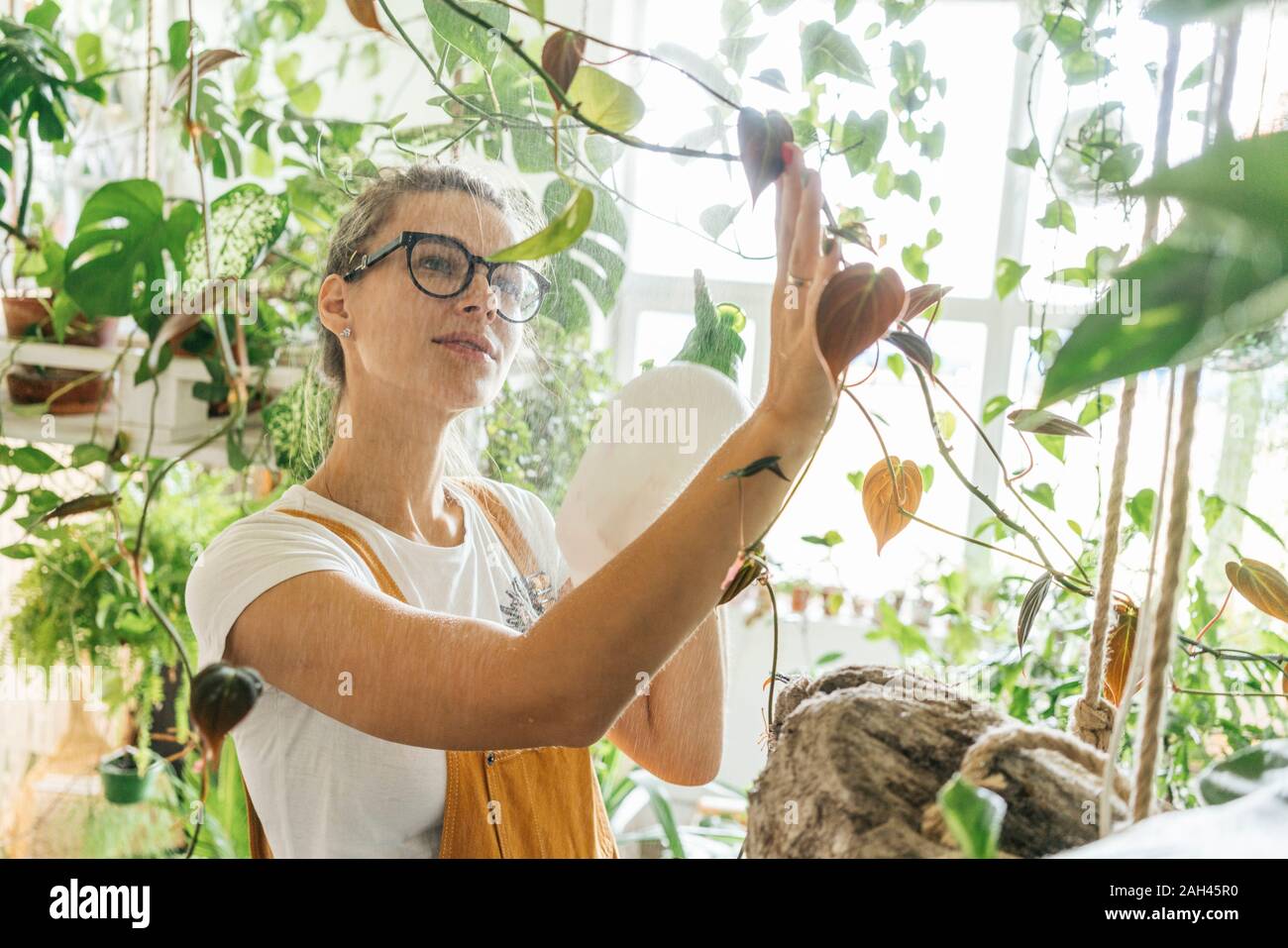 Mujer joven cuidado de plantas en una pequeña tienda Foto de stock