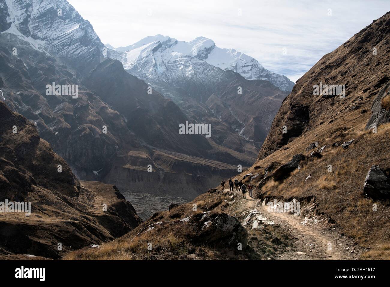 Los excursionistas en el Dhaulagiri el circuito Trek, Himalaya, Nepal Foto de stock