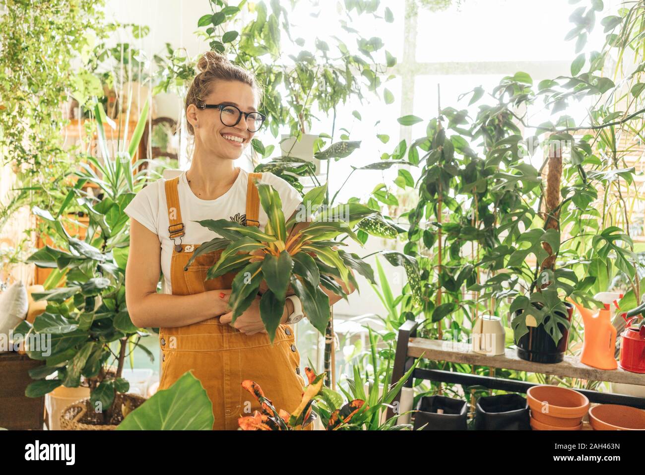 Feliz joven sosteniendo una planta en una pequeña tienda de jardinería Foto de stock