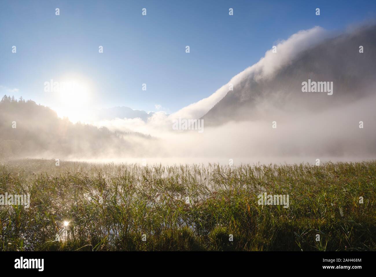 Alemania, Baviera, Mittenwald, espesa niebla flotando sobre el lago Ferchensee al amanecer. Foto de stock