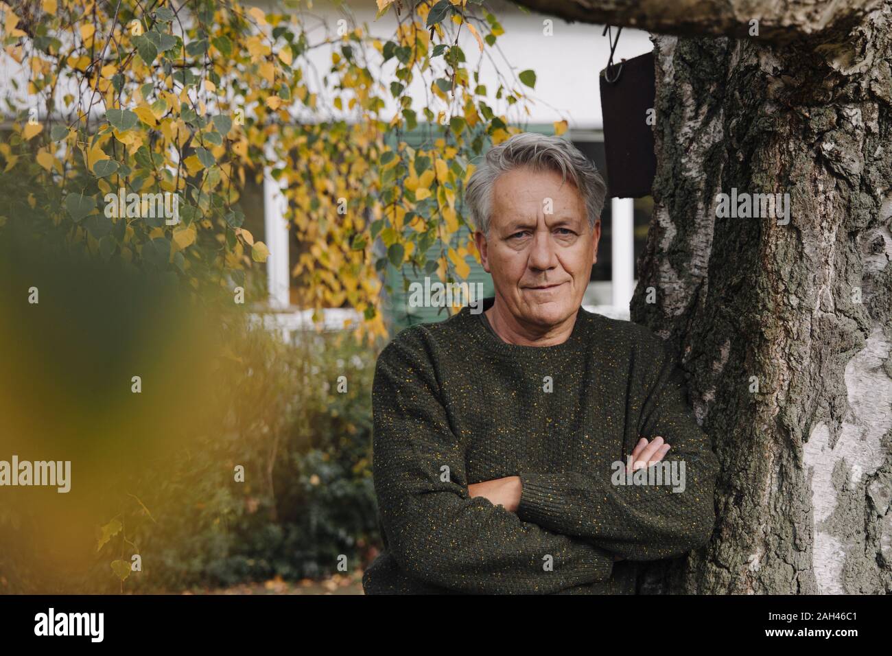 Retrato de un hombre superior en el árbol en el jardín Foto de stock