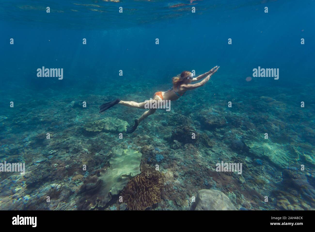Mujer joven buceo, la isla de Nusa Penida, Bali, Indonesia Foto de stock