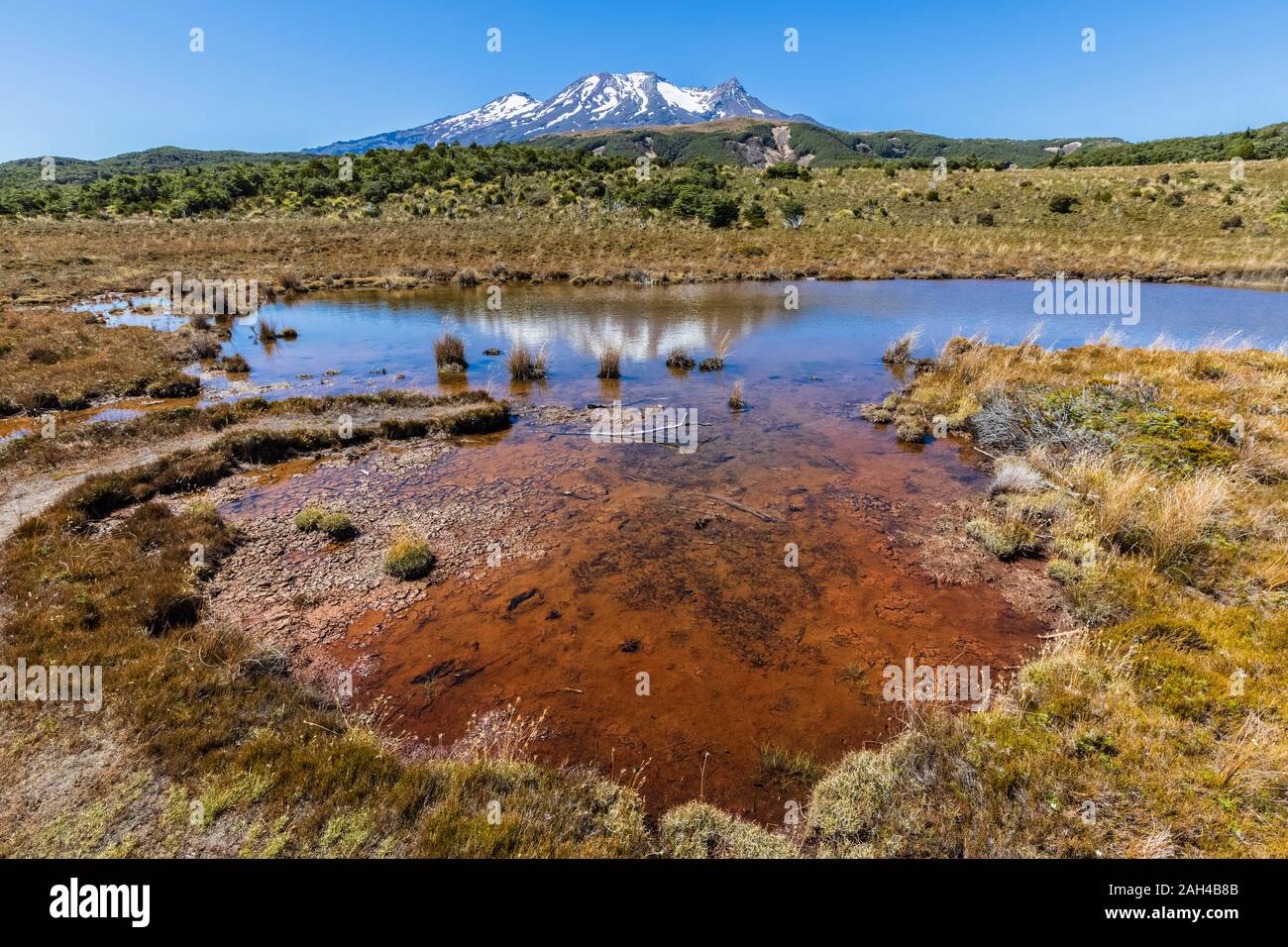 Nueva Zelanda, el norte de la isla, pequeño lago, en el norte de la isla con el Monte Ruapehu meseta volcánica inminente en la distancia Foto de stock