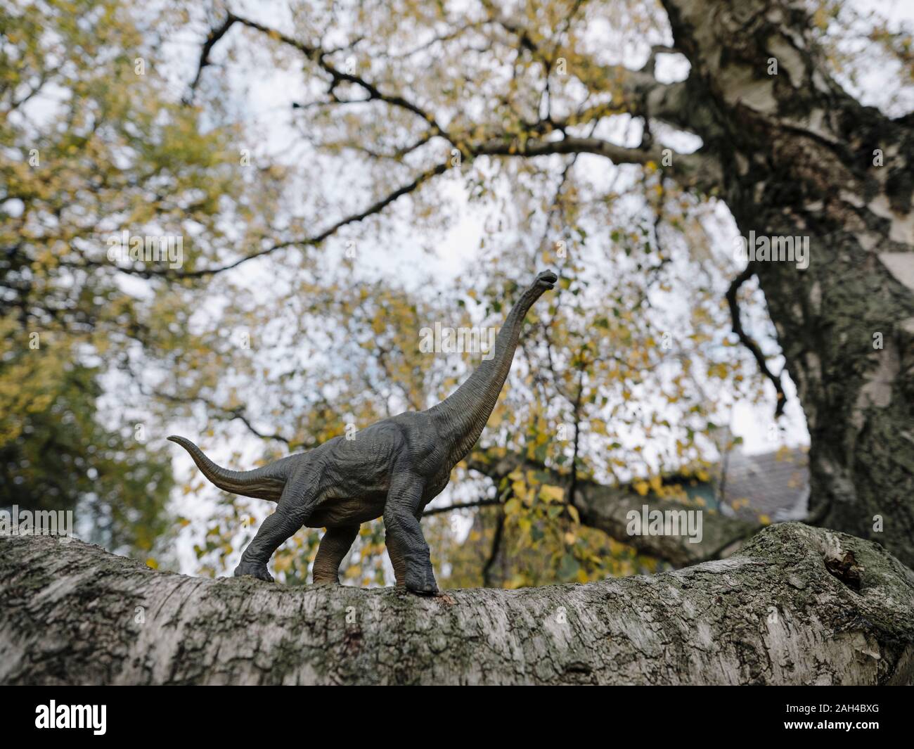 Figurilla de dinosaurios en un árbol en otoño Foto de stock