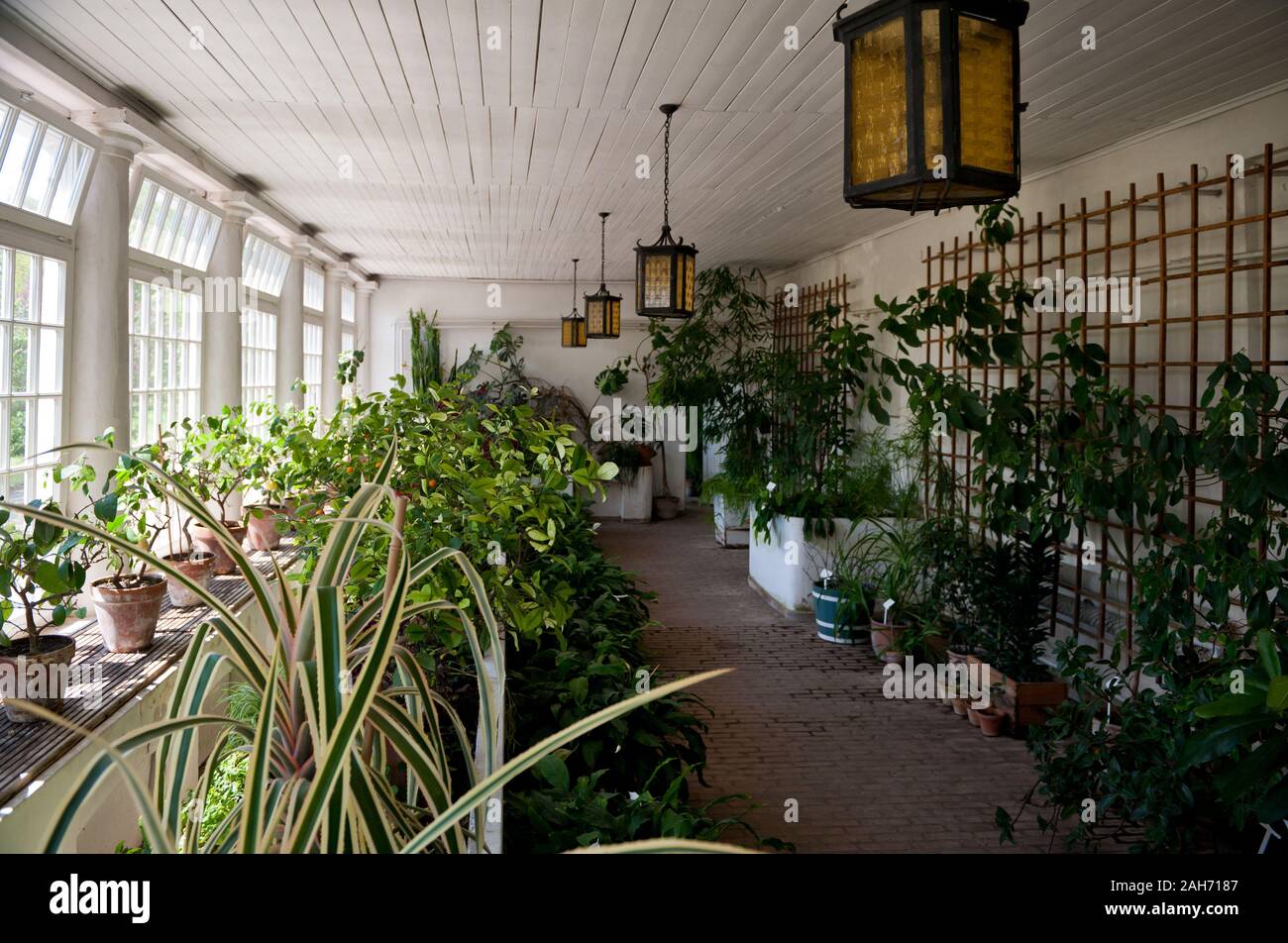 Antiguo invernadero interior con plantas en Nieborów en Polonia, Europa, vegetación y flores mix en la luz del sol viene a través de grandes ventanas, visitando. Foto de stock