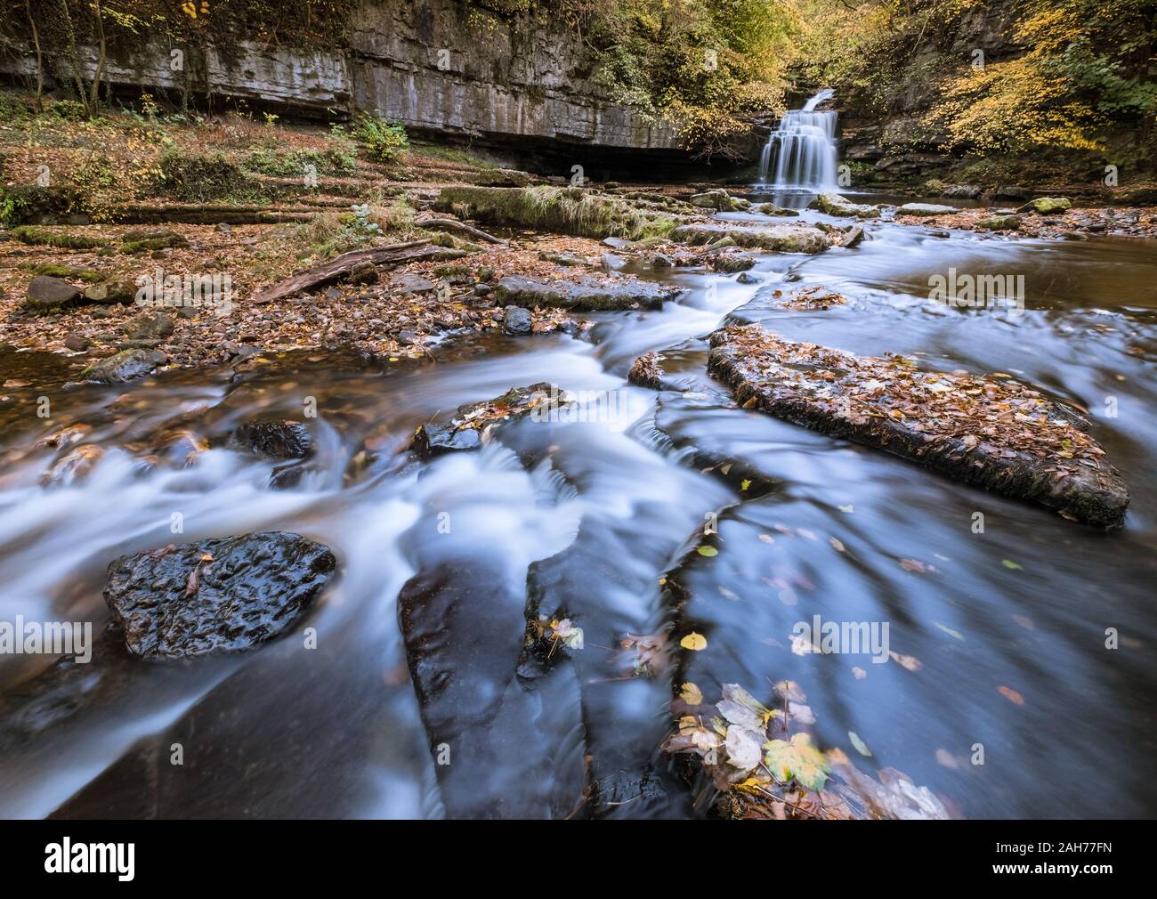 West Burton Falls, también conocido como Caldera Falls, con un atractivo follaje de otoño, Wensleydale, Yorkshire Dales National Park, Inglaterra, Reino Unido. Foto de stock