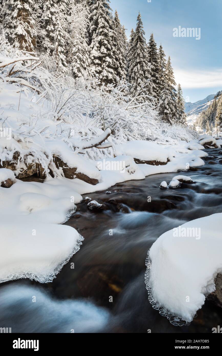 Icónico paisaje italiano de invierno, con un arroyo entre rocas cubiertas de nieve y un bosque de pinos Foto de stock