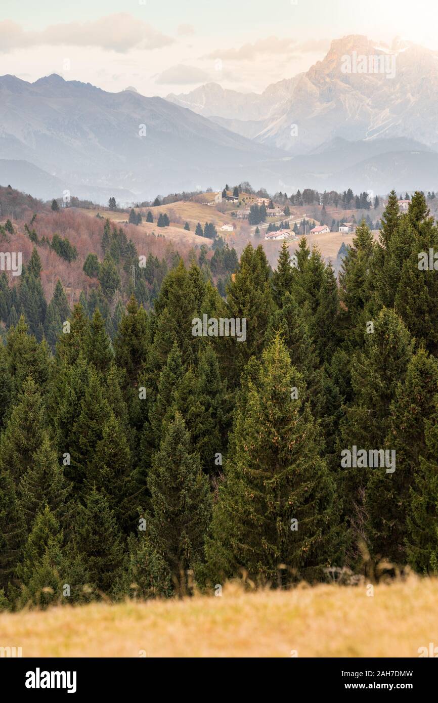Icónico paisaje montañoso italiano, con un bosque de pinos en el primer plano, los Alpes en la distancia, y un pequeño pueblo en medio Foto de stock