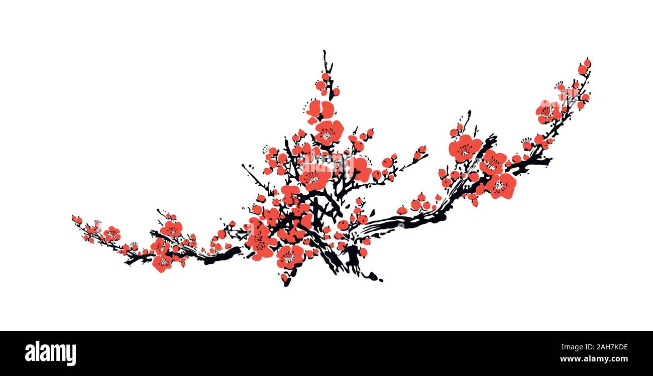 Flor de Cerezo con plantilla de evento rama dibujada a mano con flores de  cerezo rosa. Sakura realista - Flor de Cerezo japonés. Dibujo tradicional  chino o japonés - ilustración vectorial Imagen