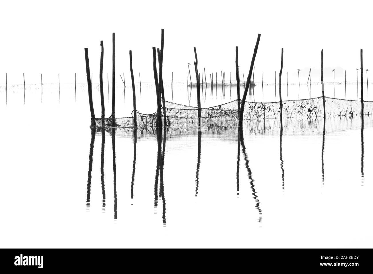 Icónico paisaje encogido veneciano en blanco y negro, con redes de peces y postes que emergen del agua Foto de stock