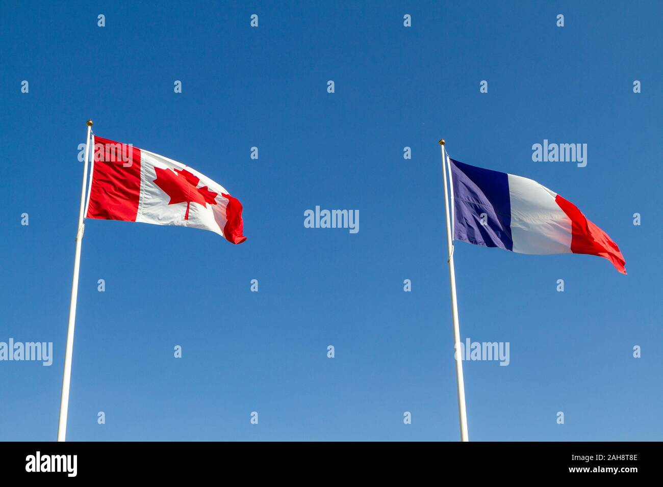 Banderas canadienses y franceses juntos en la Canadian National Memorial de Vimy (Primera Guerra Mundial) en el Memorial de Vimy Ridge cerca de la ciudad de Arras. Foto de stock