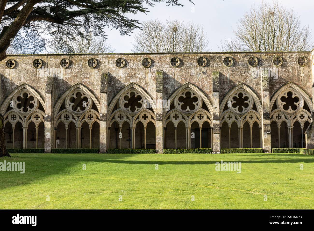 La arquitectura ornamentada de los claustros góticos con arcos, el jardín del claustro de la catedral de Salisbury, Wiltshire, Inglaterra, Reino Unido Foto de stock