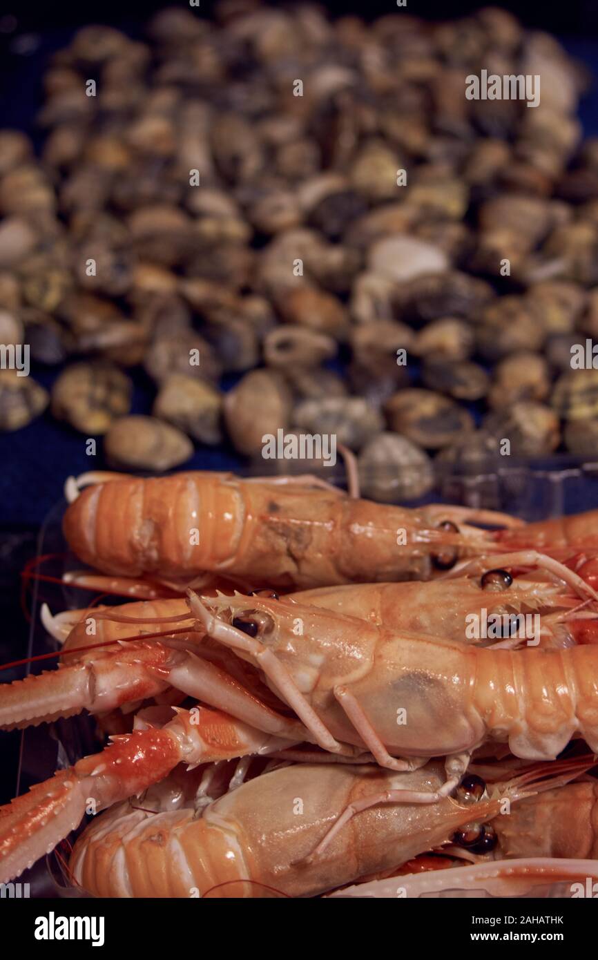 Algunos de los mejores alimentos , cangrejos muy fresco Foto de stock