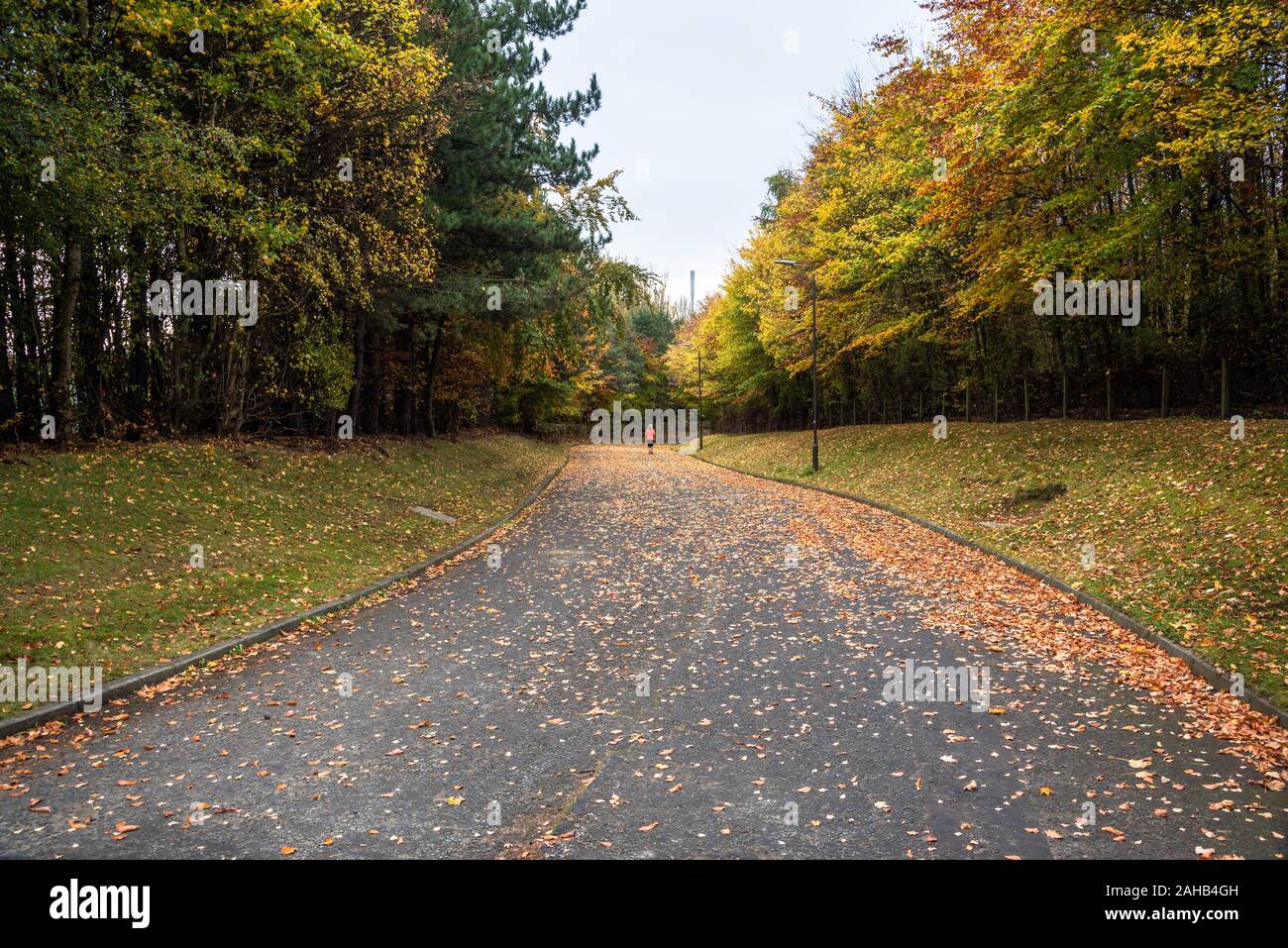 Calle peatonal cubierto de hojas en un parque. Una persona solitaria que se ejecutan en la carretera es visible en la distancia. Foto de stock