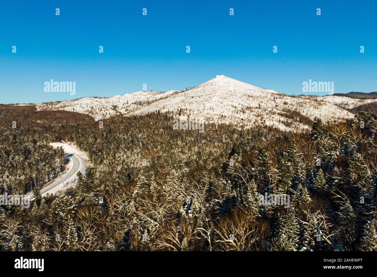 Imagen aérea desde la cima de la montaña nevada pinos en medio del invierno. Foto de stock