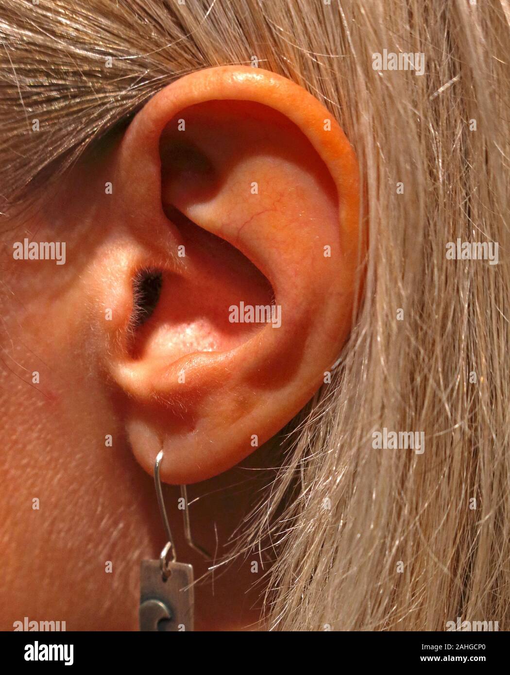 El oído humano - estás escuchando, ¿estamos escuchando? Foto de stock