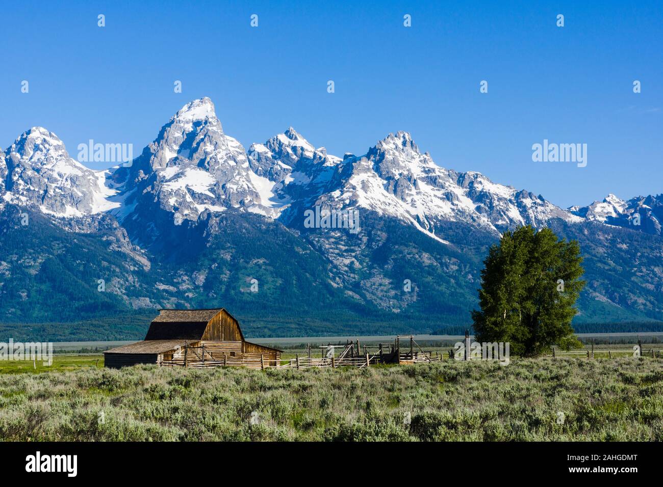 Fila mormón, Distrito Histórico, el condado de Teton, Wyoming, Estados Unidos Foto de stock