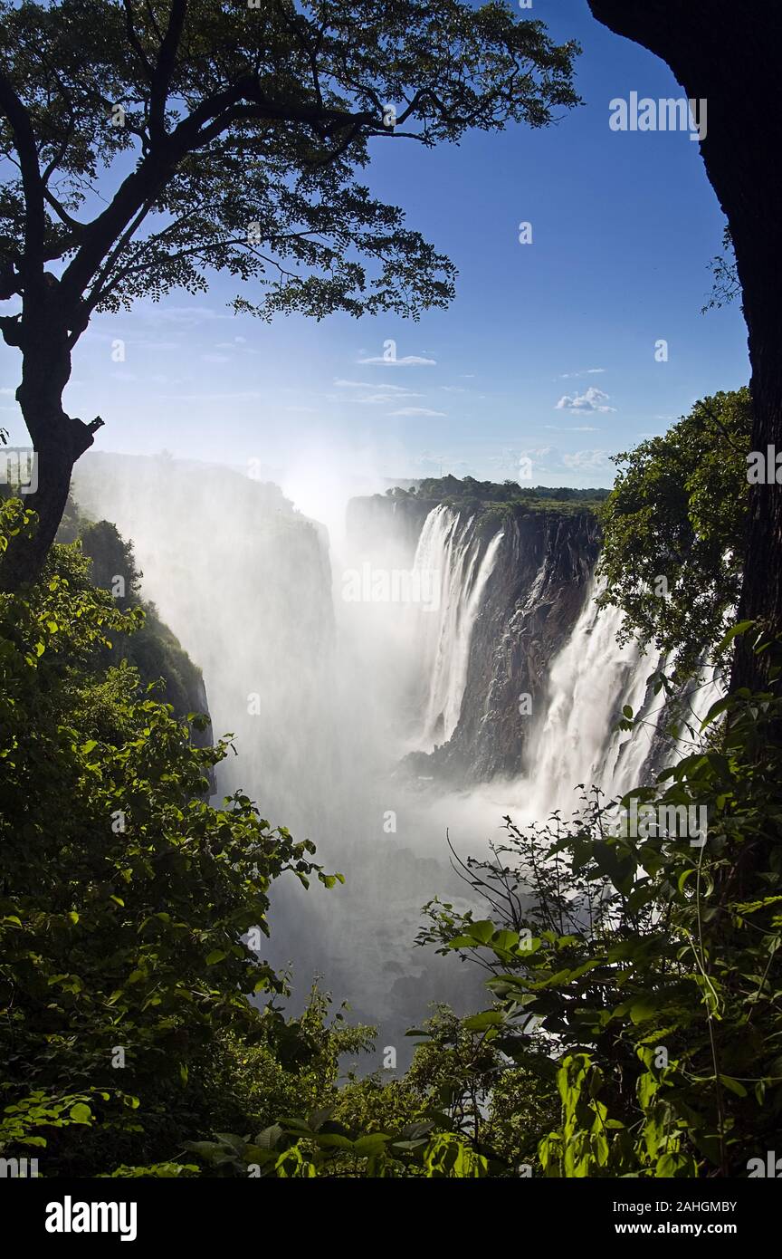 En Victoria Falls Mosi-oa-Tunya national park, Zambia Foto de stock