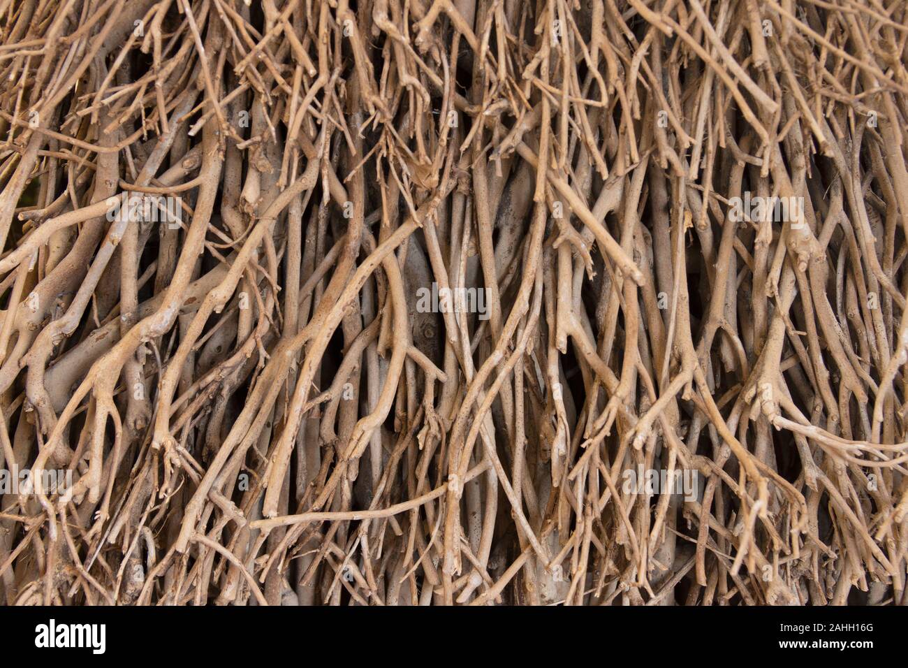 Paredes de palos de madera fotografías e imágenes de alta resolución - Alamy