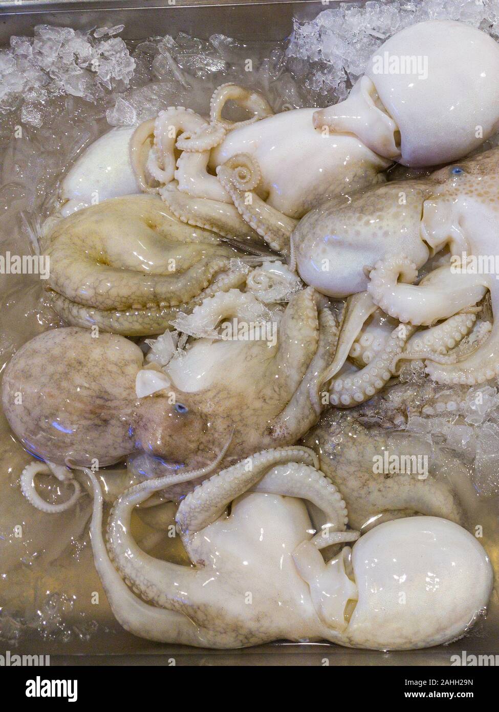 Pulpo en supermercados cercanos