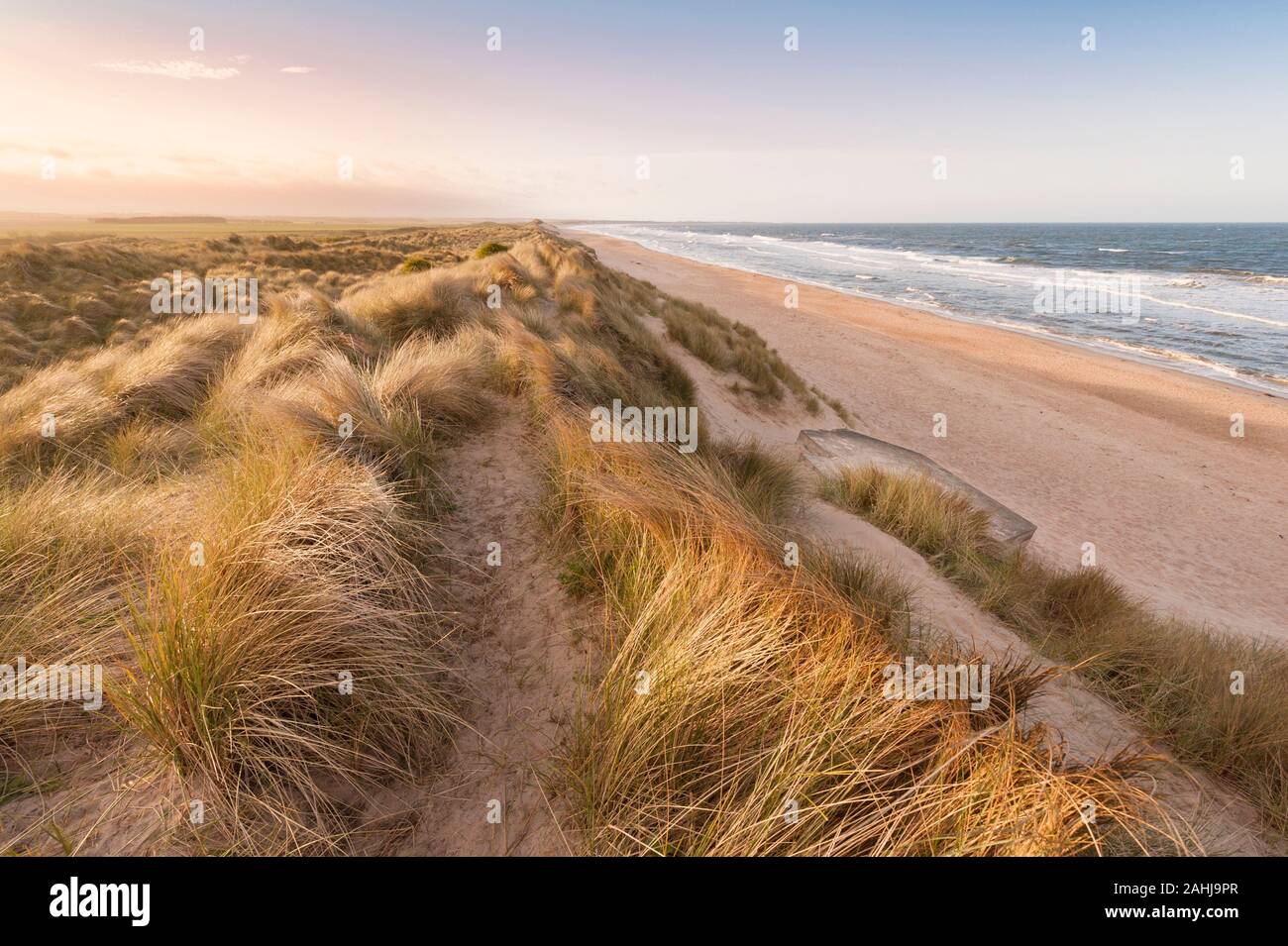 Las dunas de arena y hierba marram Druridge Bay una larga playa desierta remota en la costa de Northumberland Foto de stock