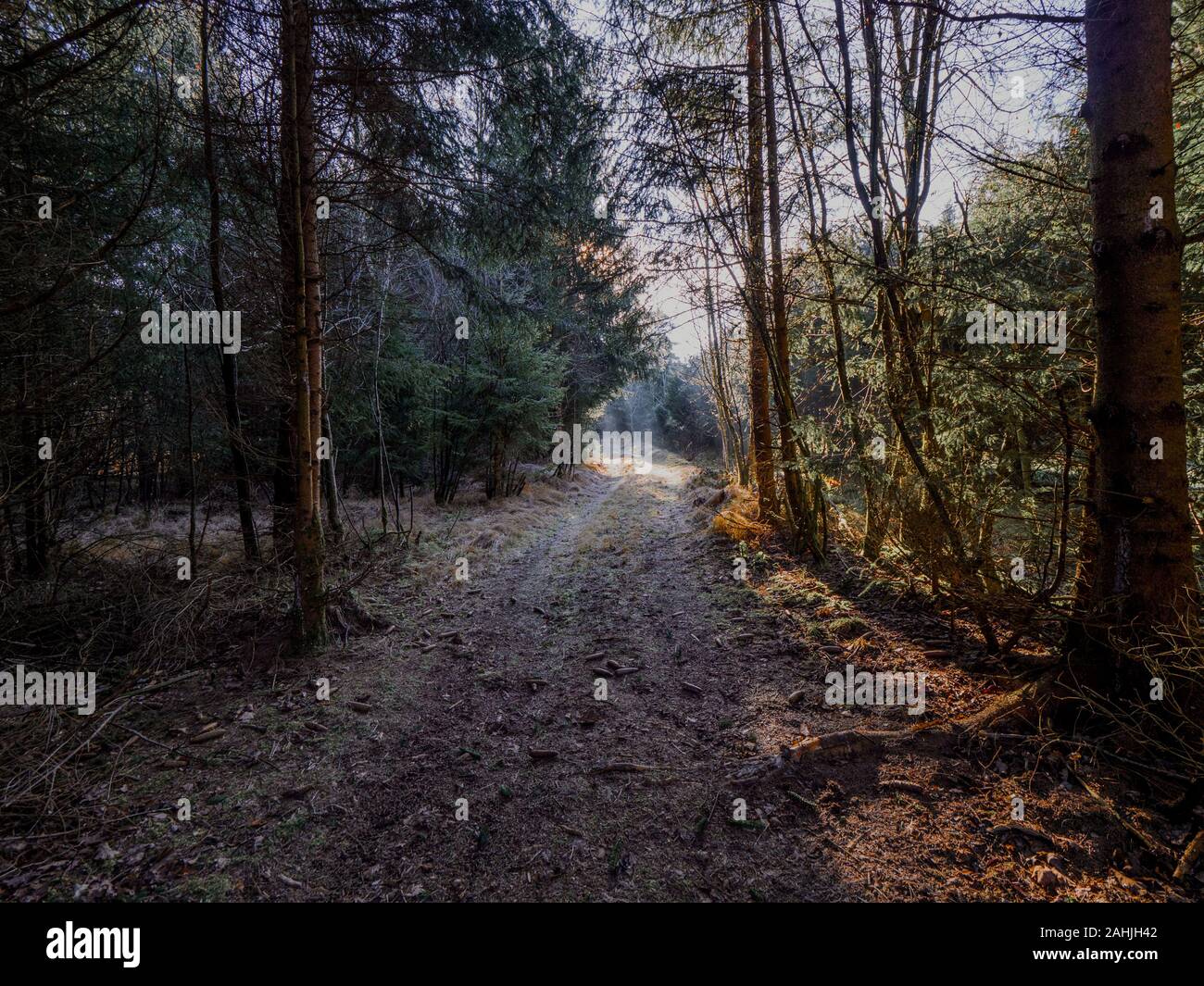 Paseo de domingo aorund un pequeño lago con un pequeño bosque erlenmoos, rot an der Rot Foto de stock