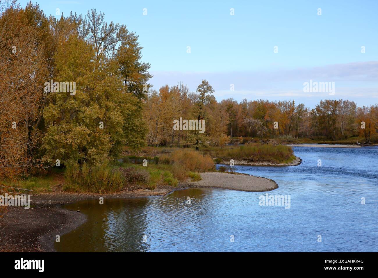 Bow River en otoño con árboles en colores de otoño en Calgary, Alberta Foto de stock