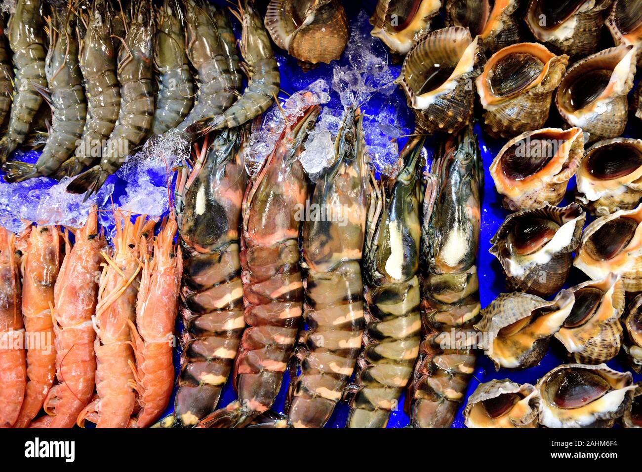 Mariscos de Corea del Sur, caracoles de mar recién cosechados y varios camarones a la venta en el mercado de pescado de Noryangin en Seúl, Corea del Sur Foto de stock