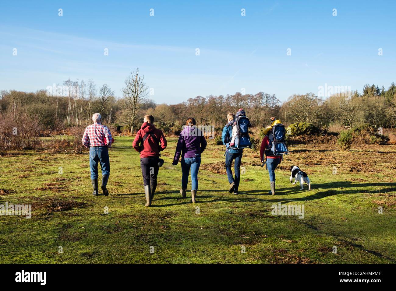 Tres generaciones de una familia caminando con un perro en brezales en Kent Wildlife Trust reserva natural en invierno. Brezales Hothfield Ashford, Inglaterra Foto de stock