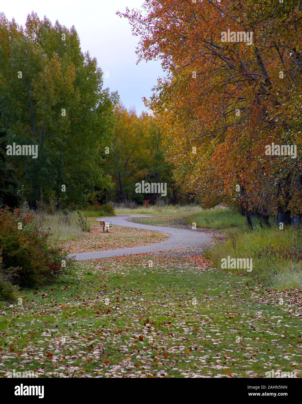 En otoño el parque con árboles en colores de otoño en Calgary, Alberta Foto de stock