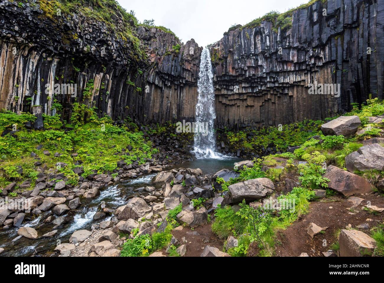 Svartifoss o negro cae en cascada en el Parque Nacional Skaftafell  Vatnajökull en el sur de Islandia Fotografía de stock - Alamy