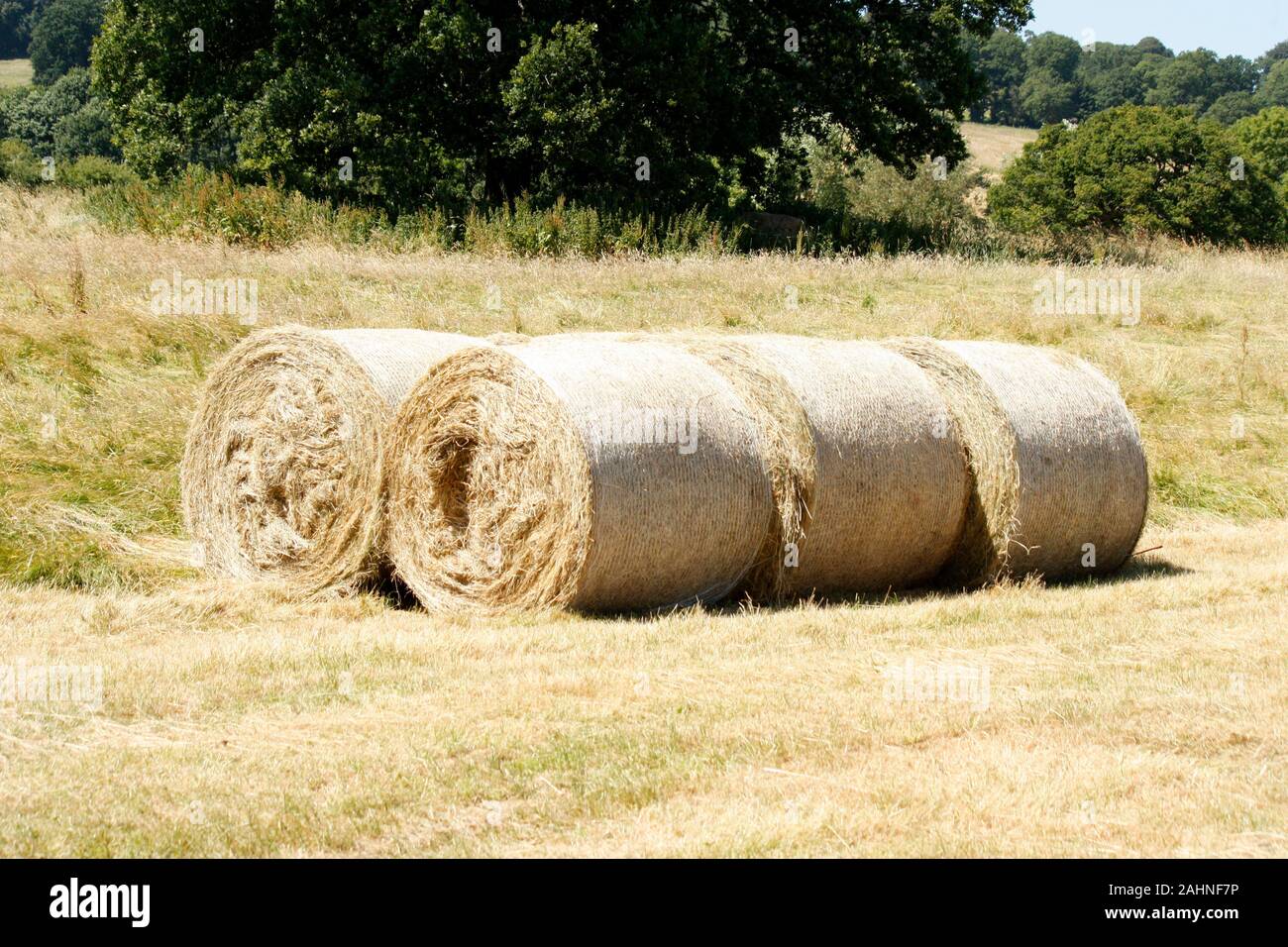 Laminados de heno en la granja en UK Foto de stock