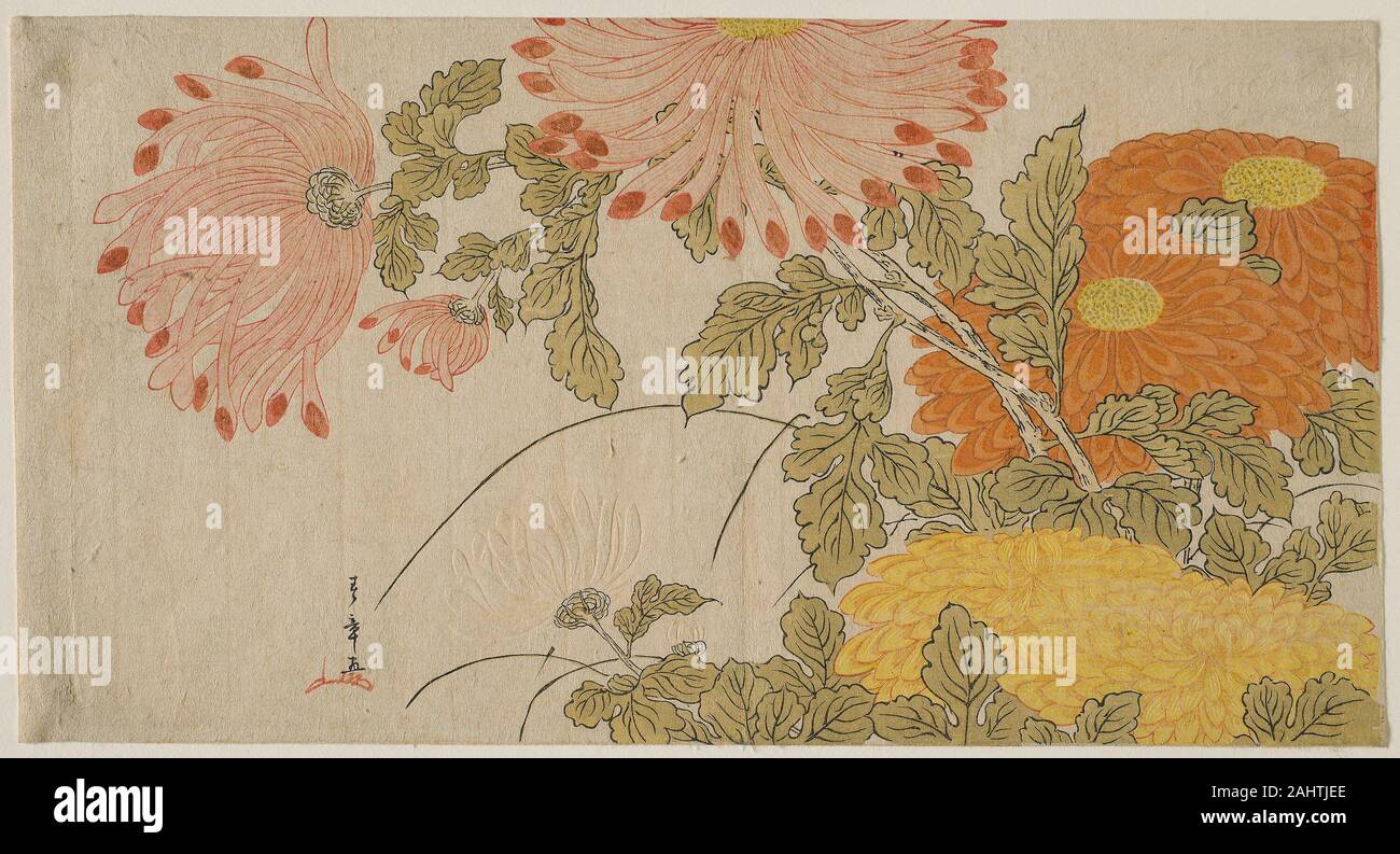 Katsukawa Shunsho. Los crisantemos. 1780-1784. El Japón. Grabado en madera de color; surimono Foto de stock