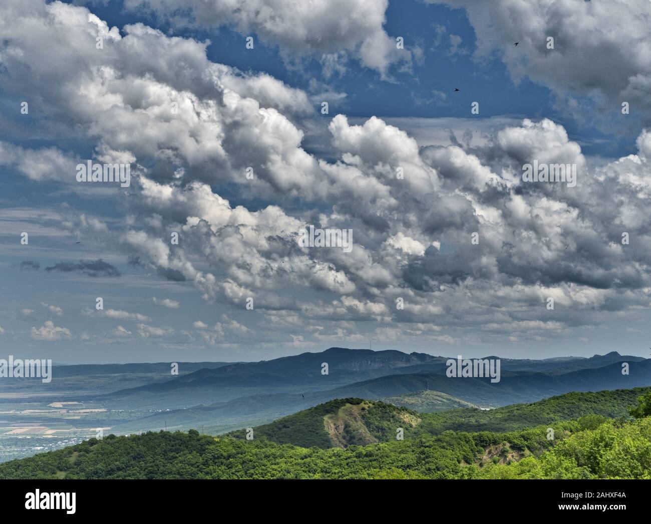 Las Golondrinas en el cielo contra un fondo de nubes blancas. Un verde paisaje de colinas con viñedos. Georgia. Espacio infinito Foto de stock