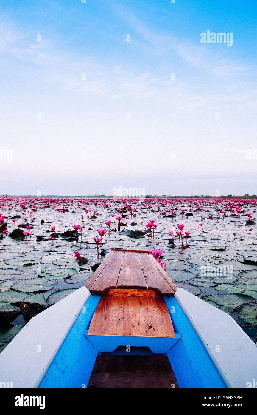 Thai long tail boat viajes proa en pacífica Nong Harn plena flor roja, Udonthani Lotus Lake - Tailandia. Barco de madera en rojo Water Lilies lotus mar. Foto de stock