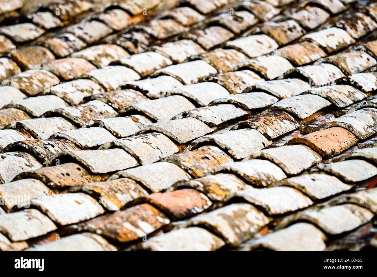 Techo de tejas de arcilla - Italia Foto de stock