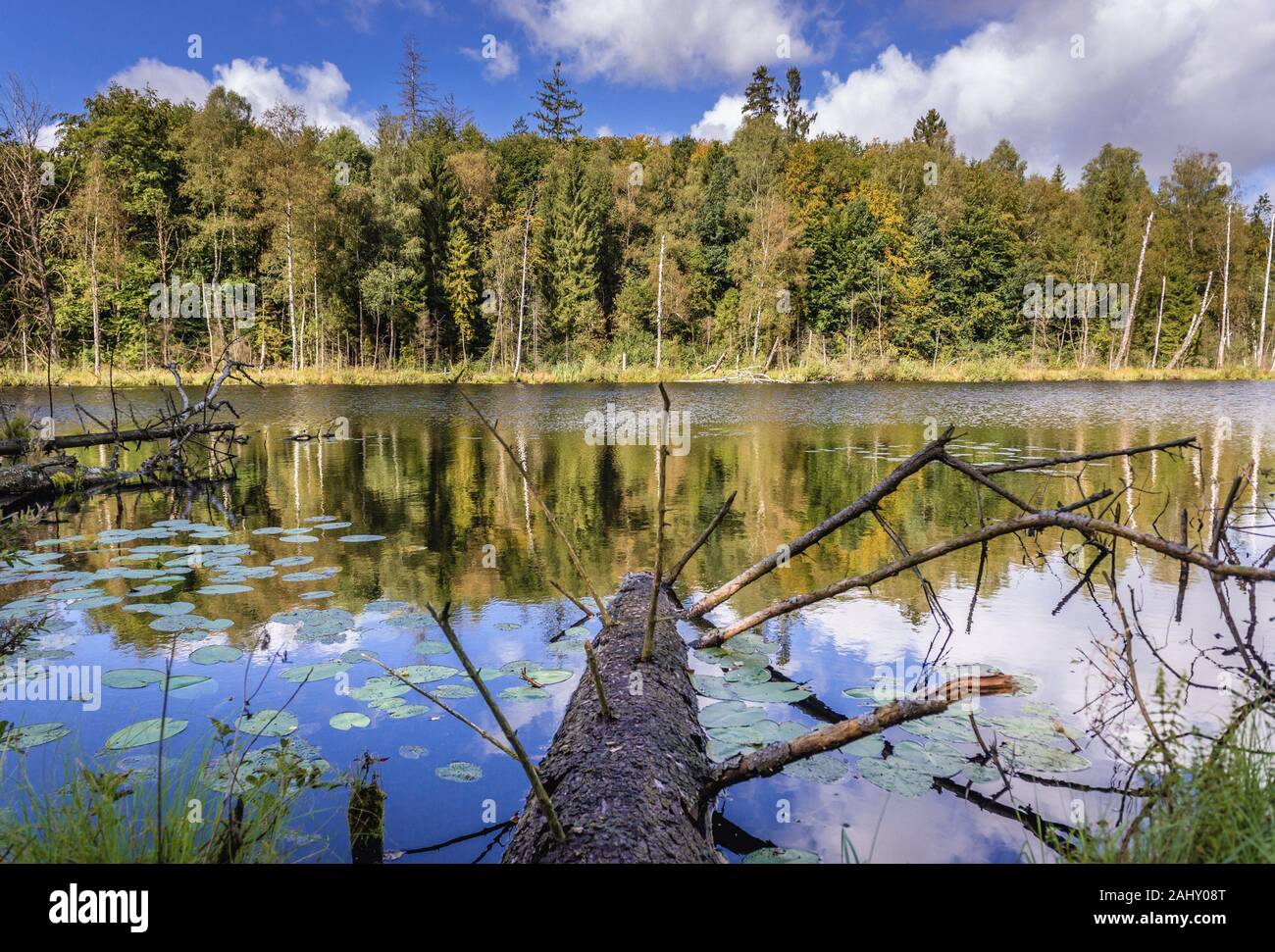 Vista sobre el lago Jezioro Francuskie (Francés) Reserva Natural Dylewo colinas parque paisajista, Ostroda County en Polonia. Foto de stock