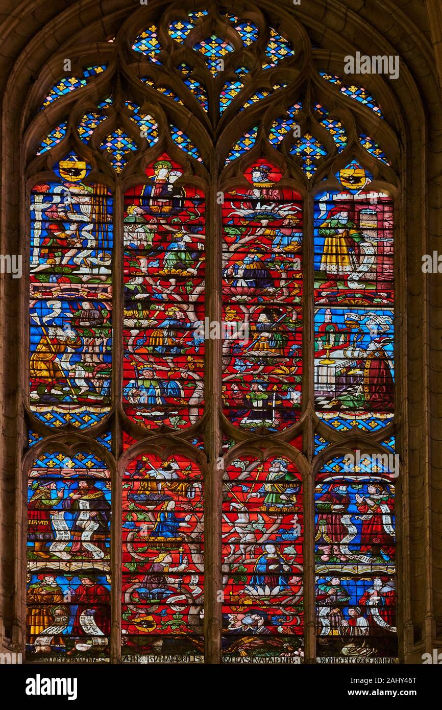 Francia, Borgoña, Yonne, Sens, la catedral de Saint-Etienne Foto de stock