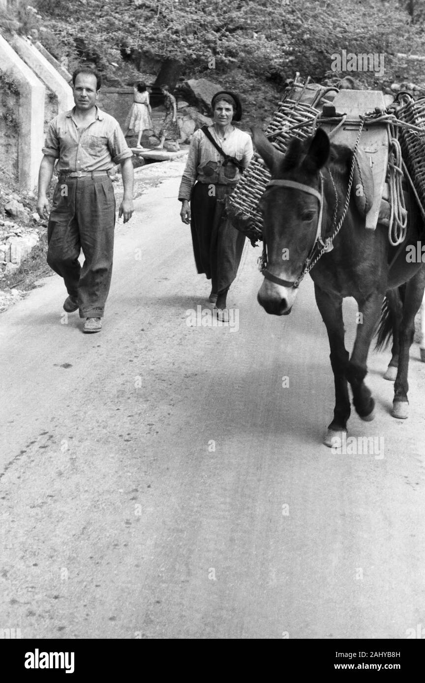 Einheimische mit vollgepacktem Pferd auf dem Weg zum Markt en Delphi, Griechenland 1950er Jahre. Comidas locales con un caballo en el camino hacia el mercado en Delfos, Grecia 1950. Foto de stock