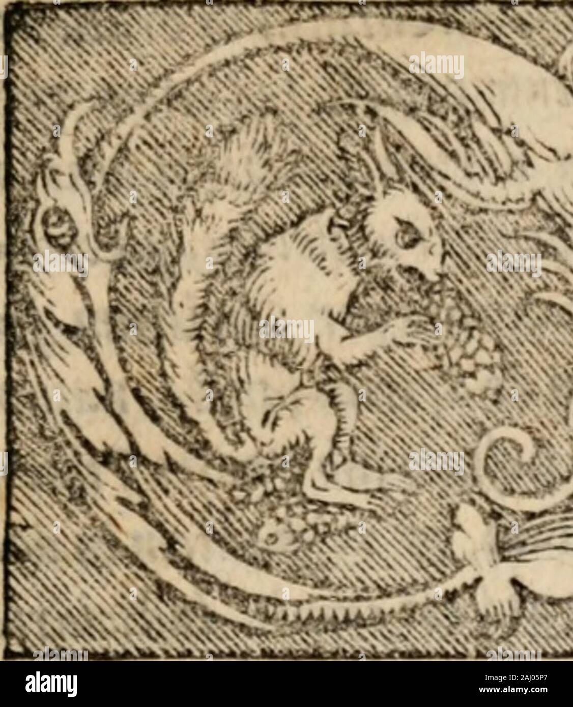 Librostema Teologia Doctrinal Fotos E Imagenes De Stock Alamy