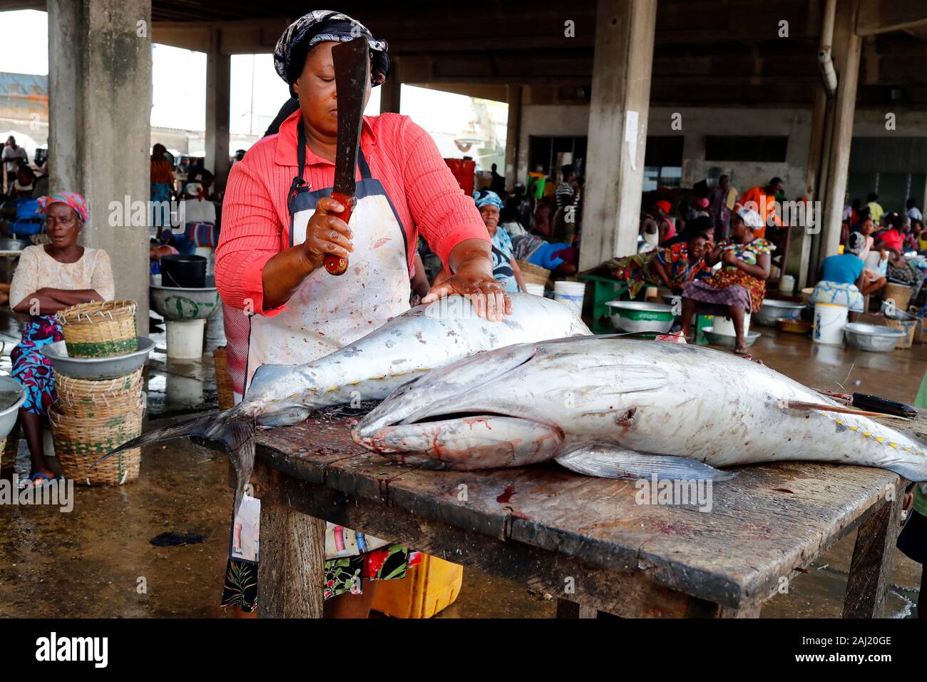Atún, mercado de pescado, el puerto de Lomé, Togo, África occidental, África Foto de stock