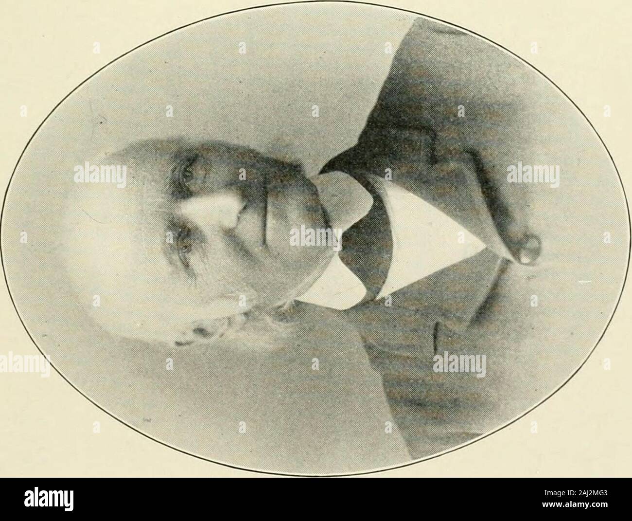Los Gleanings Desde Antiguo Shaker Revistas Compilado Por Clara Endicott Sears O 4 Gt Lt 2 04 Vo Gt C F S M X D Lt O O W Si C