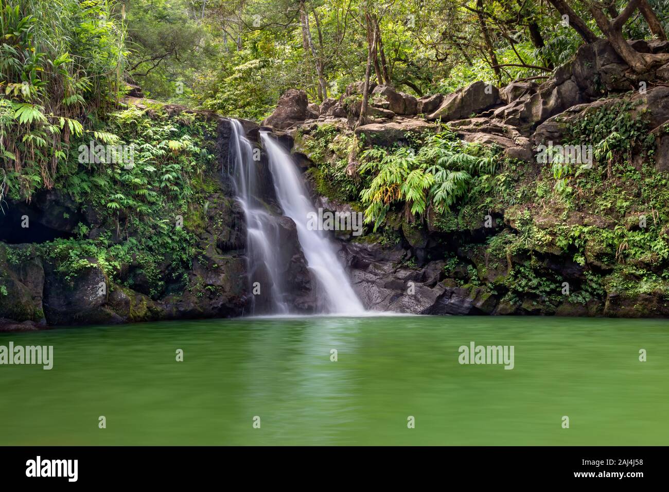 Exuberante y verde Waikamoi cae en Maui, HI a lo largo de la carretera a Hana con una gran piscina para nadar Foto de stock