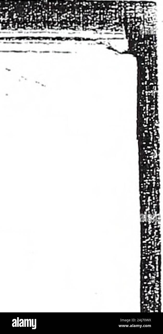 Informe Anual 1865 1956 E 1 U S S Ul O Gt G F O W 2 N 2 I I O 1
