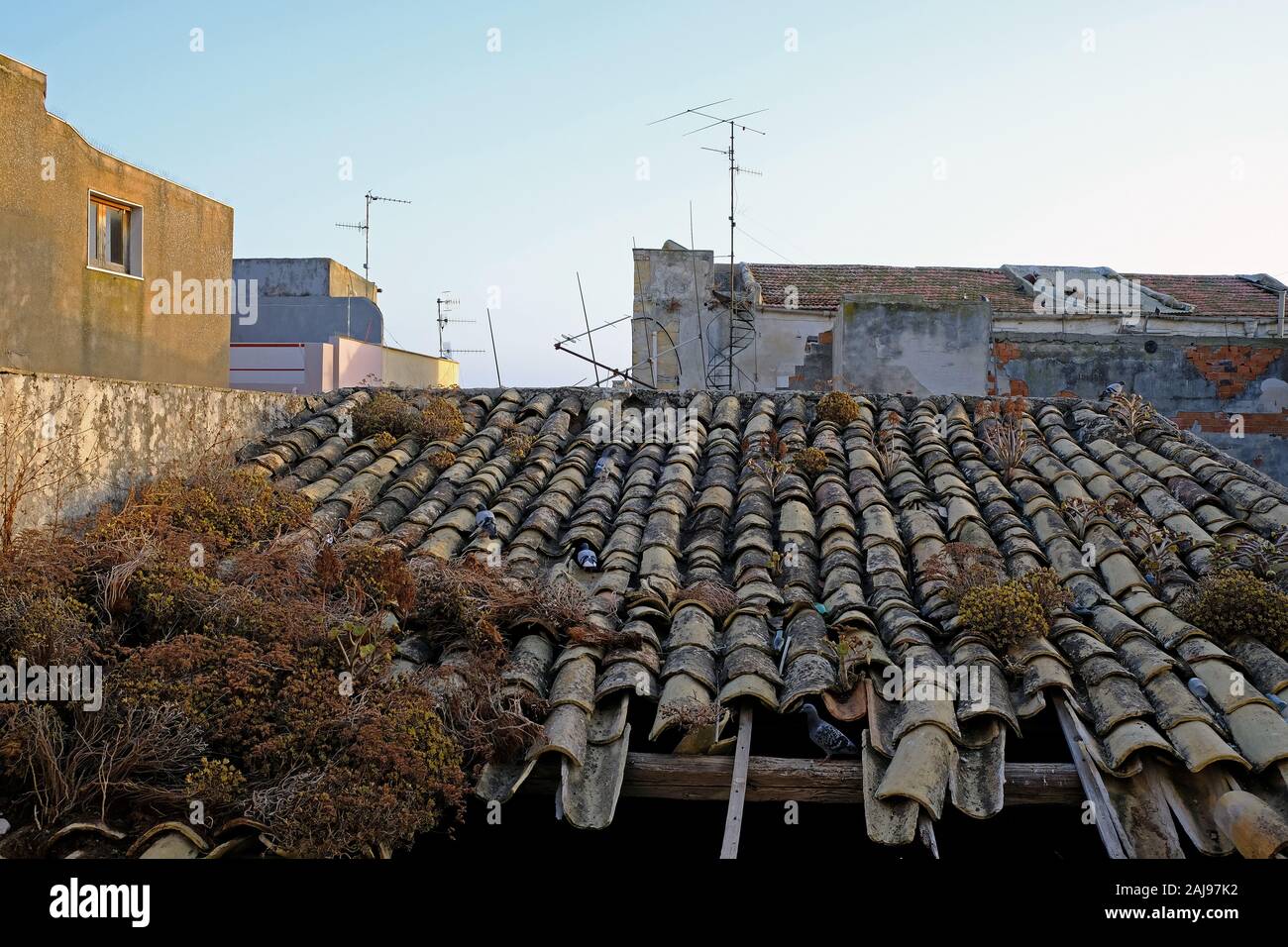 Techo de tejas de arcilla en antiguas casas residenciales en Sciacca (Sicilia, Italia). Foto de stock