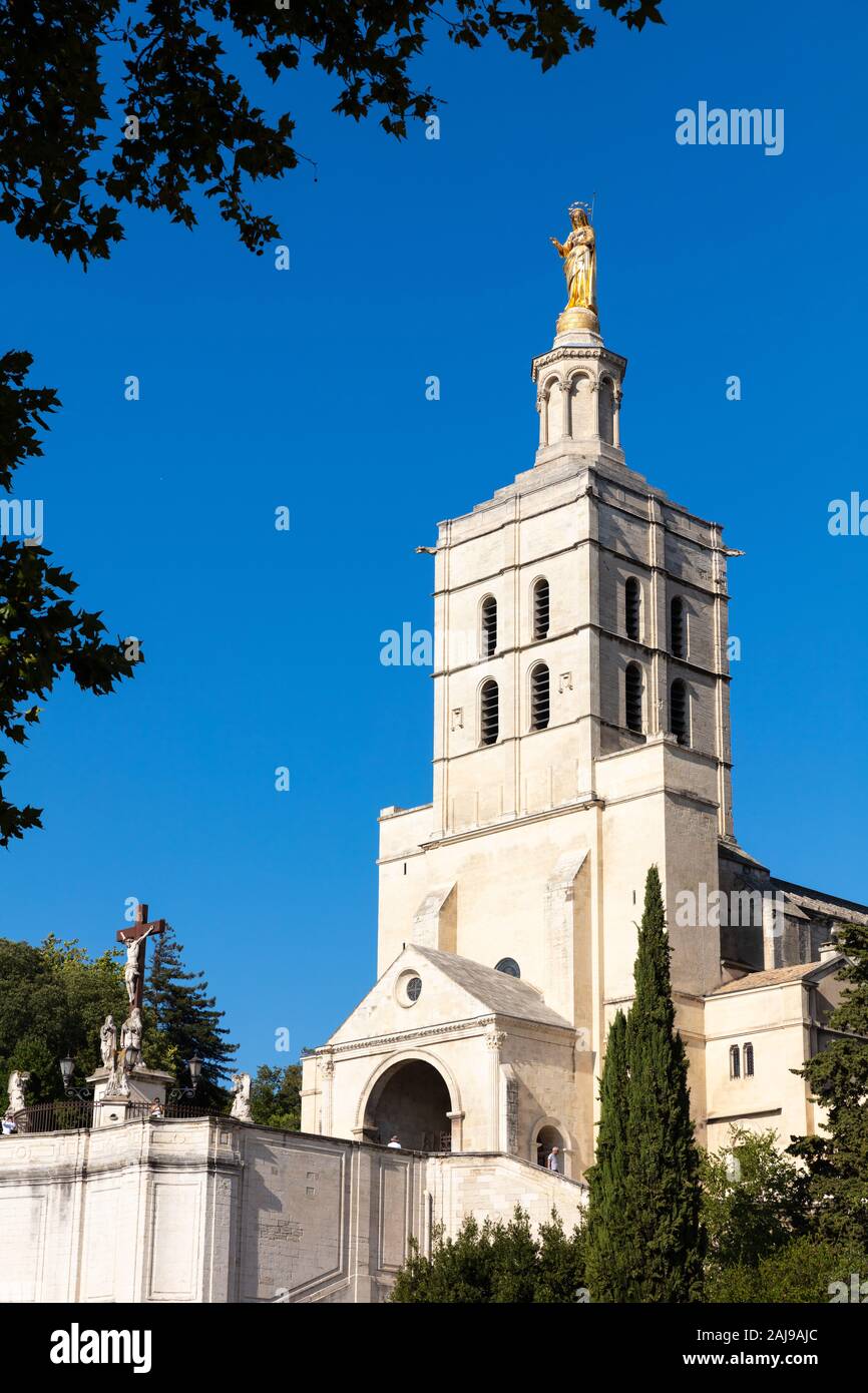 Vista exterior de la Catedral (Palais des Papes o palacio del Papa) en la ciudad de Aviñón, Provenza, en el sur de Francia Foto de stock